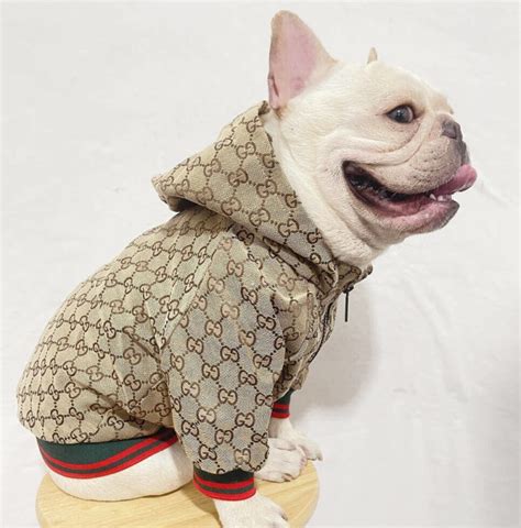 gucci dog accessories|designer dog coats gucci.